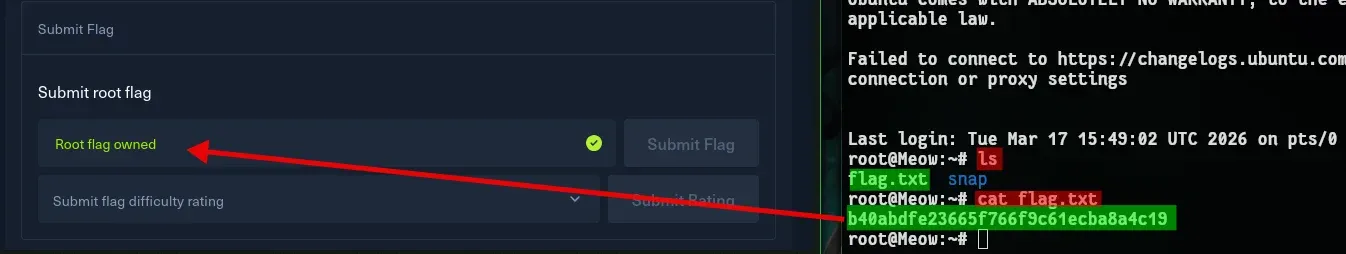 HTB-Meow-Flag